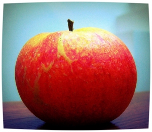 Men is wel geneigd te zeggen dat de appel niet ver van de boom valt, maar het bestaat toch niet dat de appel juist dezelfde boom wordt. Louis Paul Boon